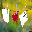 This is my first GIF favicon created on this website Zoom